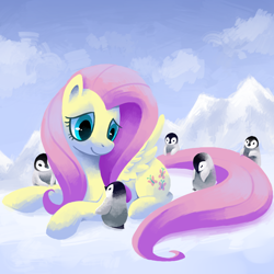Size: 800x800 | Tagged: dead source, safe, artist:reuniclus, character:fluttershy, species:bird, species:pegasus, species:penguin, species:pony, g4, cloud, cloudy, cute, emperor penguin, featured on derpibooru, female, lineless, mare, mountain, prone, shyabetes, sky, smiling, snow, solo, spread wings, weapons-grade cute, wings