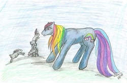 Size: 887x583 | Tagged: safe, artist:roogna, character:rainbow dash, character:rainbow dash (g3), g3, traditional art