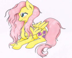 Size: 768x622 | Tagged: safe, artist:klarapl, character:fluttershy, species:pegasus, species:pony, female, folded wings, looking down, profile, prone, simple background, solo, traditional art