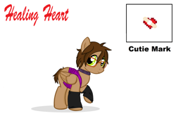 Size: 2380x1668 | Tagged: safe, artist:deltafairy, oc, oc only, species:pegasus, species:pony, brown mane, chubby, clothing, cute, cutie mark, fanart, female, glasses, green eyes, leg warmers, mare, short, short hair, short tail, socks, solo, text