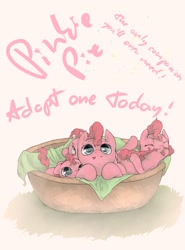 Size: 1920x2600 | Tagged: dead source, safe, artist:fruitbloodmilkshake, character:pinkie pie, species:earth pony, species:pony, adoption, basket, biting, bronybait, cute, diapinkes, female, filly, foal, multeity, pet, pony in a basket, solo, tail bite, text, too much pink energy is dangerous, younger