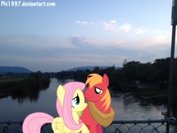 Size: 3264x2448 | Tagged: safe, artist:bobthelurker, artist:phi1997, artist:shelltoon, character:big mcintosh, character:fluttershy, species:earth pony, species:pony, ship:fluttermac, bridge, cloud, cloudy, fence, irl, male, photo, ponies in real life, reflection, river, shipping, stallion, straight, vector