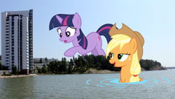 Size: 1024x581 | Tagged: safe, artist:kishmond, artist:midnightfunny, artist:theotterpony, character:applejack, character:twilight sparkle, species:pony, giant pony, giantess, irl, macro, mega twilight sparkle, photo, ponies in real life