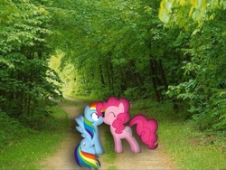 Size: 900x675 | Tagged: safe, artist:atmospark, artist:perrohambre, artist:thedarklordkeisha, character:pinkie pie, character:rainbow dash, ship:pinkiedash, female, forest, irl, kissing, lesbian, path, photo, ponies in real life, shipping, vector, wingboner