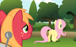 Size: 8280x5140 | Tagged: safe, artist:bobthelurker, character:big mcintosh, character:fluttershy, species:earth pony, species:pony, ship:fluttermac, absurd resolution, flutterbutt, looking at her butt, male, plot, shipping, stallion, straight