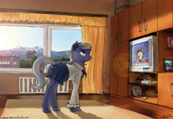 Size: 3859x2651 | Tagged: safe, artist:apocheck13, oc, oc only, clothing, house, indoors, modern, russian, solo, television