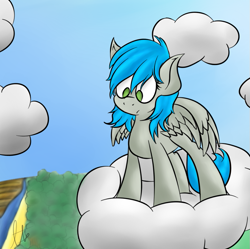 Size: 807x804 | Tagged: safe, artist:laptopbrony, oc, oc only, oc:darcy sinclair, cloud, cute, looking down, wings