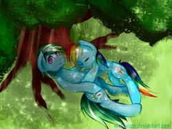 Size: 1600x1200 | Tagged: safe, artist:monochromacat, character:rainbow dash, oc, oc:minty frost, canon x oc, female, male, shipping, straight, under the tree