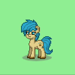 Size: 1196x1191 | Tagged: safe, artist:lyraalluse, oc, oc only, oc:blueberry muffin, oc:muffin pony, pony town, original character do not steal
