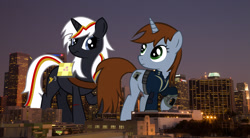 Size: 2600x1438 | Tagged: safe, artist:brisineo, artist:theotterpony, oc, oc only, oc:littlepip, oc:velvet remedy, species:pony, species:unicorn, fallout equestria, book, city, clothing, cutie mark, fanfic, fanfic art, female, fluttershy medical saddlebag, giant pony, hooves, horn, irl, los angeles, macro, mare, medical saddlebag, night, photo, pipbuck, ponies in real life, raised hoof, request, saddle bag, vault suit