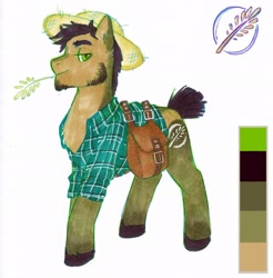 Size: 2016x2048 | Tagged: safe, artist:somepony-ul, oc, oc only, species:earth pony, species:pony, handsome, male, reference sheet, solo, stallion