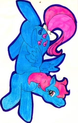 Size: 382x600 | Tagged: safe, artist:skypinpony, character:wind whistler, g1, female, solo, traditional art