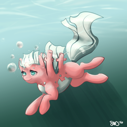Size: 3000x3000 | Tagged: safe, artist:bean-sprouts, bubble, corsola, crossover, pokémon, ponified, solo, underwater