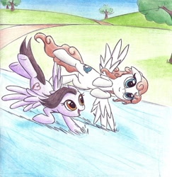Size: 1024x1054 | Tagged: safe, artist:islamilenaria, oc, oc only, species:pegasus, species:pony, female, flying, mare, river, sisters, traditional art