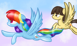 Size: 5000x3000 | Tagged: safe, artist:songbirdserenade, character:rainbow dash, character:wild fire, absurd resolution, flying, grin, sky, smiling