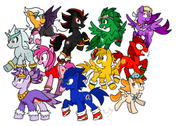 Size: 2100x1500 | Tagged: dead source, safe, artist:fuutachimaru, character:sonic the hedgehog, species:pony, amy rose, blaze the cat, chao, cheese chao, clothing, cream the rabbit, jet the hawk, knuckles the echidna, miles "tails" prower, ponified, rouge the bat, shadow the hedgehog, silver the hedgehog, simple background, sonic the hedgehog (series), transparent background, wave the swallow
