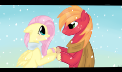 Size: 900x535 | Tagged: safe, artist:marisalle, character:big mcintosh, character:fluttershy, species:earth pony, species:pony, ship:fluttermac, clothing, male, scarf, shipping, stallion, straight