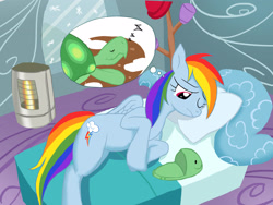Size: 2808x2109 | Tagged: safe, artist:neoshrek, character:rainbow dash, character:tank, species:pony, bed, lonely, sad, sleeping, zzz