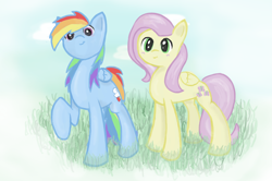 Size: 984x653 | Tagged: safe, artist:ehherinn, character:fluttershy, character:rainbow dash
