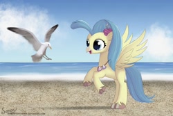 Size: 1500x1000 | Tagged: safe, artist:songbirdserenade, character:princess skystar, species:bird, species:classical hippogriff, species:hippogriff, species:seagull, g4, my little pony: the movie (2017), beach, colored pupils, cute, female, flower, flower in hair, happy, jewelry, looking at something, necklace, ocean, rearing, skyabetes, smiling, solo, spread wings, unshorn fetlocks, water, wings