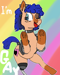 Size: 864x1080 | Tagged: safe, artist:tacodeltaco, derpibooru original, oc, oc only, oc:heartspring, species:earth pony, species:pony, amputee, bandana, clothing, collar, female, gay pride, jacket, lgbt, looking at you, mare, meme, one eye closed, pride, prosthetic limb, prosthetics, rainbow background, solo, tail wrap, tongue out, wink