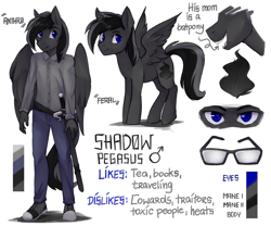 Size: 1280x1067 | Tagged: safe, artist:varllai, oc, oc only, oc:shadow, species:anthro, species:pegasus, species:plantigrade anthro, species:pony, g4, blue eyes, clothing, commission, eyebrows, glasses, looking at you, male, reference sheet, sharp teeth, simple background, spread wings, stallion, sword, teeth, text, three quarter view, weapon, white background, wings