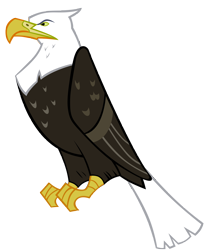 Size: 5000x6000 | Tagged: safe, artist:gurugrendo, species:bird, absurd resolution, ambiguous gender, animal, bald eagle, eagle, resource, simple background, solo, transparent background, vector