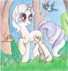 Size: 374x393 | Tagged: safe, artist:pony-paint, oc, oc only, species:bird, species:pony, species:unicorn, blue jay, female, mare, raised hoof, smiling, solo, traditional art