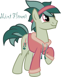 Size: 784x986 | Tagged: safe, artist:pony-paint, oc, oc only, species:earth pony, species:pony, clothing, hoodie, male, raised hoof, show accurate, simple background, solo, stallion, transparent background