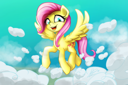 Size: 1200x800 | Tagged: safe, artist:klemm, character:fluttershy, species:pegasus, species:pony, female, open mouth, smiling