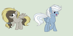 Size: 2054x1032 | Tagged: safe, artist:roseloverofpastels, oc, oc only, oc:banana nut muffin, oc:double dash, parent:derpy hooves, parent:doctor whooves, parent:double diamond, parent:night glider, parents:doctorderpy, parents:nightdiamond, species:pegasus, species:pony, female, male, mare, offspring, simple background, stallion