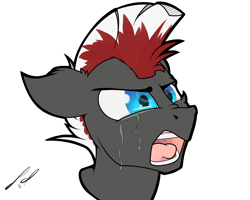 Size: 1280x1024 | Tagged: safe, artist:caduceus, artist:caduceusart, oc, oc only, oc:double down, bust, crying, mohawk, vent art, yelling