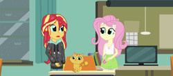 Size: 1600x706 | Tagged: safe, artist:thomaszoey3000, character:fluttershy, character:sunset shimmer, episode:monday blues, eqg summertime shorts, g4, my little pony: equestria girls, my little pony:equestria girls, cat, wet hair