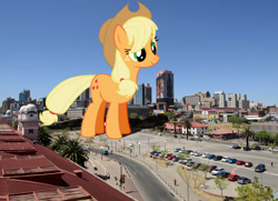 Size: 1980x1430 | Tagged: safe, artist:flawlesstea, artist:theotterpony, character:applejack, species:pony, city, clothing, cowboy hat, female, freckles, giant pony, hat, highrise ponies, irl, johannesburg, macro, mare, photo, ponies in real life, solo, south africa, stetson, story in the source