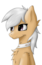 Size: 722x1107 | Tagged: safe, artist:drarkusss0, oc, oc:katharina märz, species:earth pony, species:pony, chest fluff, collar, simple background, smiling, solo, transparent background