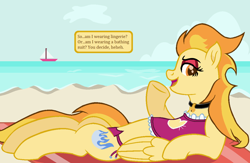 Size: 1170x764 | Tagged: safe, artist:peregrinstaraptor, oc, oc only, oc:wyldfyre, species:pegasus, species:pony, beach, bell, bell collar, boat, bra, cat lingerie, clothing, collar, female, lingerie, mare, ocean, on back, panties, solo, swimsuit, underwear