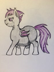 Size: 2448x3264 | Tagged: safe, artist:thewindking, oc, oc only, oc:midnight blossom, species:bat pony, bat pony oc, chubby, dappled, fat, large belly, large butt, missing cutie mark, socks (coat marking), thunder thighs, traditional art