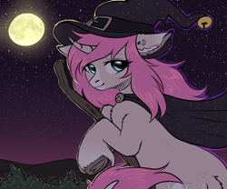 Size: 2400x2000 | Tagged: safe, artist:avrameow, oc, oc only, oc:tarot, species:classical unicorn, species:pony, species:unicorn, broom, cape, clothing, cloven hooves, curved horn, digital art, ear piercing, female, floppy ears, freckles, halloween, hat, holiday, horn, leonine tail, long mane, long tail, mare, moon, night, palomino, piercing, pink mane, solo, starry night, stars, unshorn fetlocks, witch, witch hat, ych result