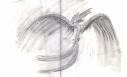 Size: 5036x3056 | Tagged: safe, artist:ed-skar, character:philomena, species:phoenix, female, flying, monochrome, solo, traditional art