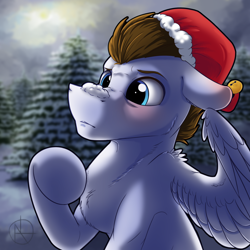 Size: 2000x2000 | Tagged: safe, artist:klarapl, oc, oc only, species:pegasus, species:pony, christmas, clothing, commission, hat, holiday, male, santa hat, snow, solo, stallion