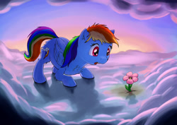 Size: 1920x1358 | Tagged: safe, artist:shaliwolf, character:rainbow dash, species:pony, amazed, cloud, female, flower, solo, sunset