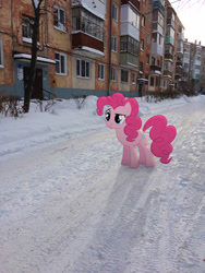 Size: 2448x3264 | Tagged: safe, artist:albertuha, character:pinkie pie, species:earth pony, species:pony, female, irl, mare, outdoors, photo, plattenbau, ponies in real life, russia, snow, solo, standing, winter