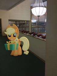 Size: 2448x3264 | Tagged: safe, artist:albertuha, character:applejack, species:earth pony, species:pony, cute, female, irl, jackabetes, mare, photo, ponies in real life, present, smiling, solo, theater