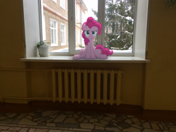 Size: 3264x2448 | Tagged: safe, artist:albertuha, character:pinkie pie, species:earth pony, species:pony, female, frown, glare, heater, irl, looking at you, mare, photo, ponies in real life, raised eyebrow, school, sitting, snow, solo, window, winter