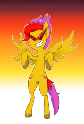 Size: 1045x1550 | Tagged: safe, artist:vinny, oc, species:pegasus, species:pony, both cutie marks, gradient background, kamina sunglasses, rearing, solo, two toned mane, two toned tail