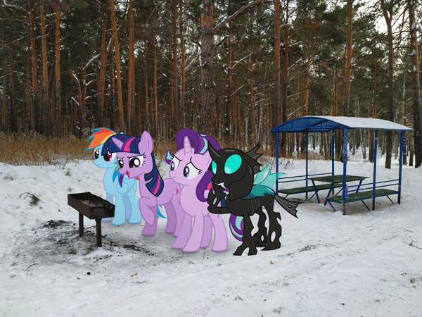 Size: 600x450 | Tagged: safe, artist:albertuha, edit, character:rainbow dash, character:starlight glimmer, character:thorax, character:twilight sparkle, species:changeling, species:pony, 1000 years in photoshop, animated, confused, disguise, disguised changeling, evil starlight, evil twilight, gif, grill, irl, photo, ponies in real life, thinking, winter