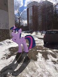 Size: 2448x3264 | Tagged: safe, artist:albertuha, character:twilight sparkle, character:twilight sparkle (alicorn), species:alicorn, species:pony, female, frown, irl, mare, photo, ponies in real life, raised hoof, snow, solo, winter