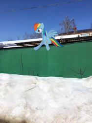 Size: 2448x3264 | Tagged: safe, artist:albertuha, character:rainbow dash, species:pegasus, species:pony, female, garage, irl, mare, photo, ponies in real life, sitting, snow, solo, winter