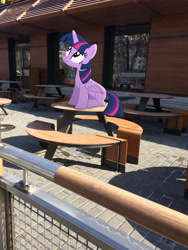 Size: 2448x3264 | Tagged: safe, artist:albertuha, character:twilight sparkle, character:twilight sparkle (alicorn), species:alicorn, species:pony, female, irl, mare, mcdonald's, photo, ponies in real life, sitting, solo, winter