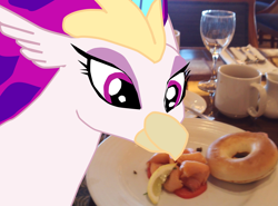 Size: 2851x2115 | Tagged: safe, artist:oceanrailroader, character:queen novo, species:pony, my little pony: the movie (2017), bagel, bread, food, irl, photo, ponies in real life